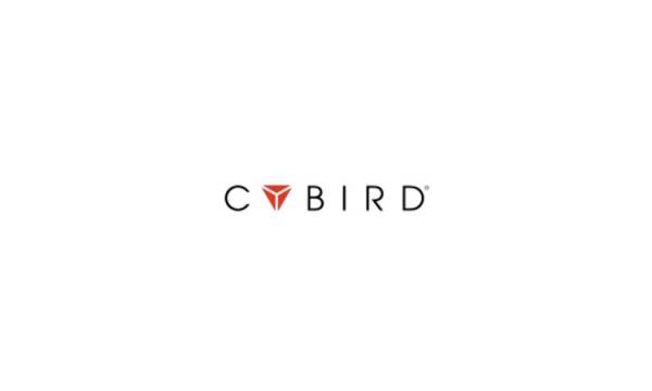 サイバード、アニモカ・ブランズとPlay-to-Earnモデルのサッカークラブ育成ゲーム「Blockchain Football」を開発