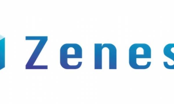 VRアートのNFT化事業のZenesis、Skyland Ventures、Arriba Studioから総額1800万円のシード資金調達を実施