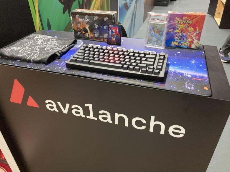 Avalanche 08-N16